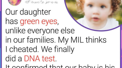 My MIL Accused Me of Cheating I Did a DNA Test and Accidentally Exposed Her Secret