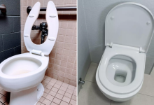 Mystery Over Why Some Toilet Seats Have Open Fronts Has Been Solved