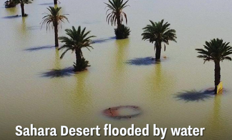 Sahara Desert Flooded By Water As OnceIn50Year Event Takes Place