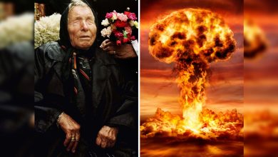 baba vangas 2025 predictions wil