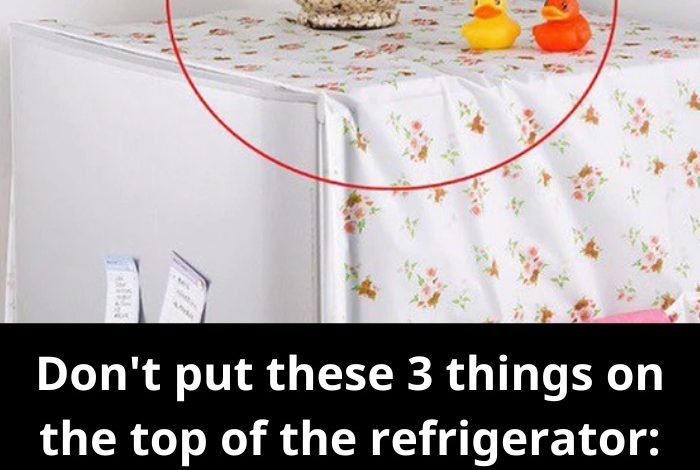 refrigerator