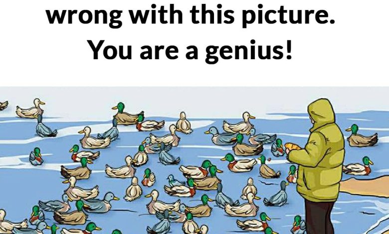 wrong in picture duck