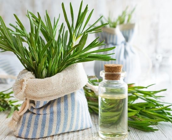 Rosemary Oil Suyash