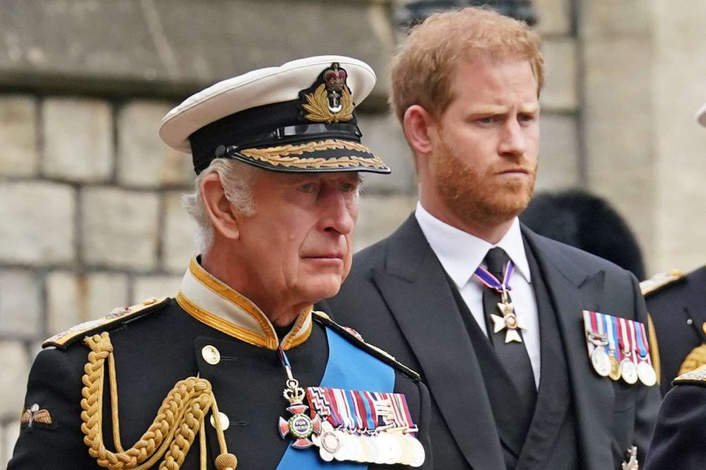 king charles prince harry 020823 c510f19c30644b3998f9eeb9576eae42 1024x683 1