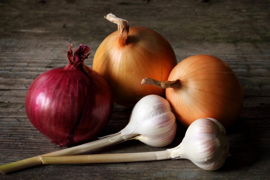 onions and garlic on a table may cause bad breath 1024x683 1