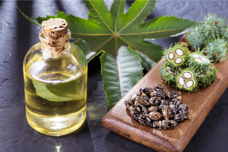 bali buda blog castor oil banner 1 1