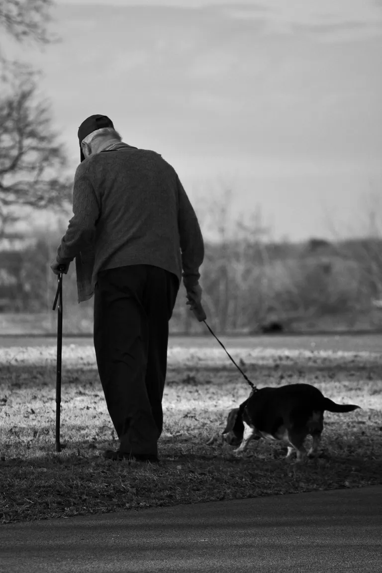 Abandoned Puppy Becomes the Angel a Grieving Old Man Prayed For1