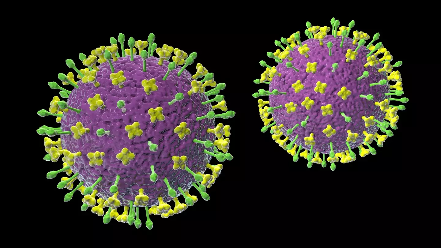 Experts who predicted covid say new virus appearing in US 1