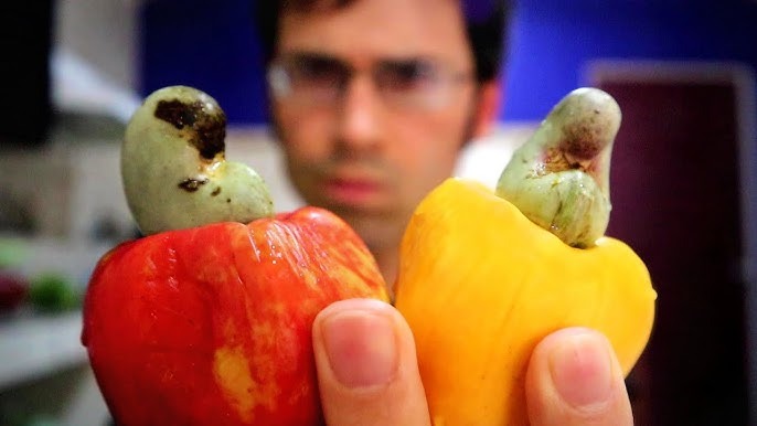 People online cant get over the knowledge of how CASHEWS grow 9