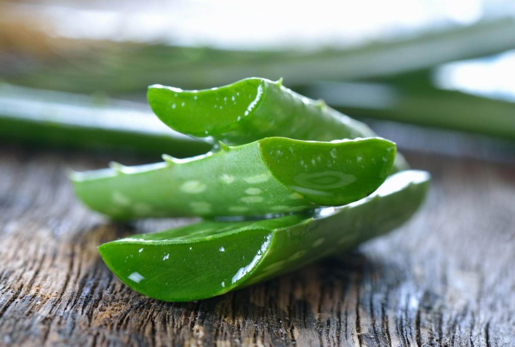 aloe vera on wooden 2023 11 27 04 51 58 utc scaled 1 1024x691 1