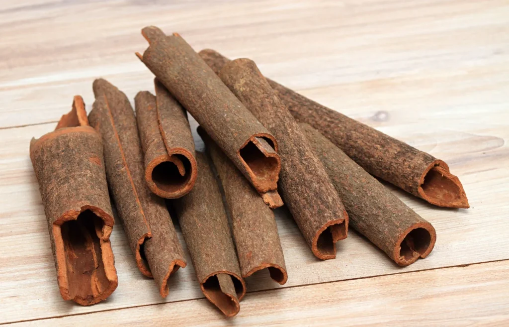 bark Cinnamomum cassia plant spice 1024x657 1