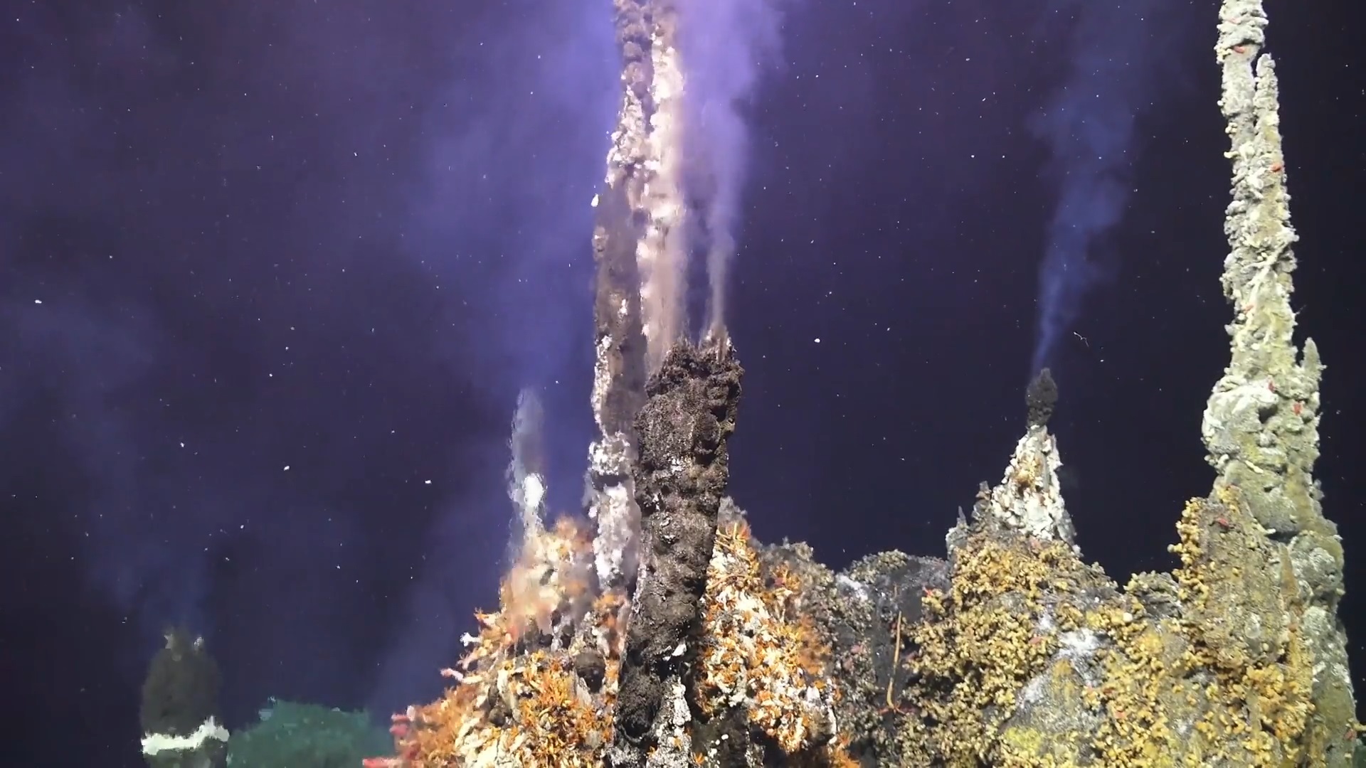 An underwater volcano off the coast of Oregon may be about to erupt for the first time in nearly a decade 1 0980