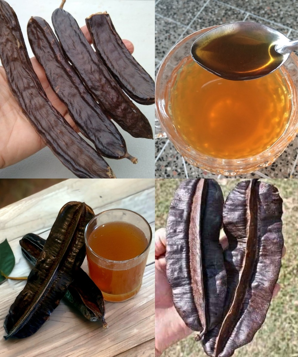 Carob: The Forgotten Superfruit Making a Healthy Comeback in 2025 2 1234 2
