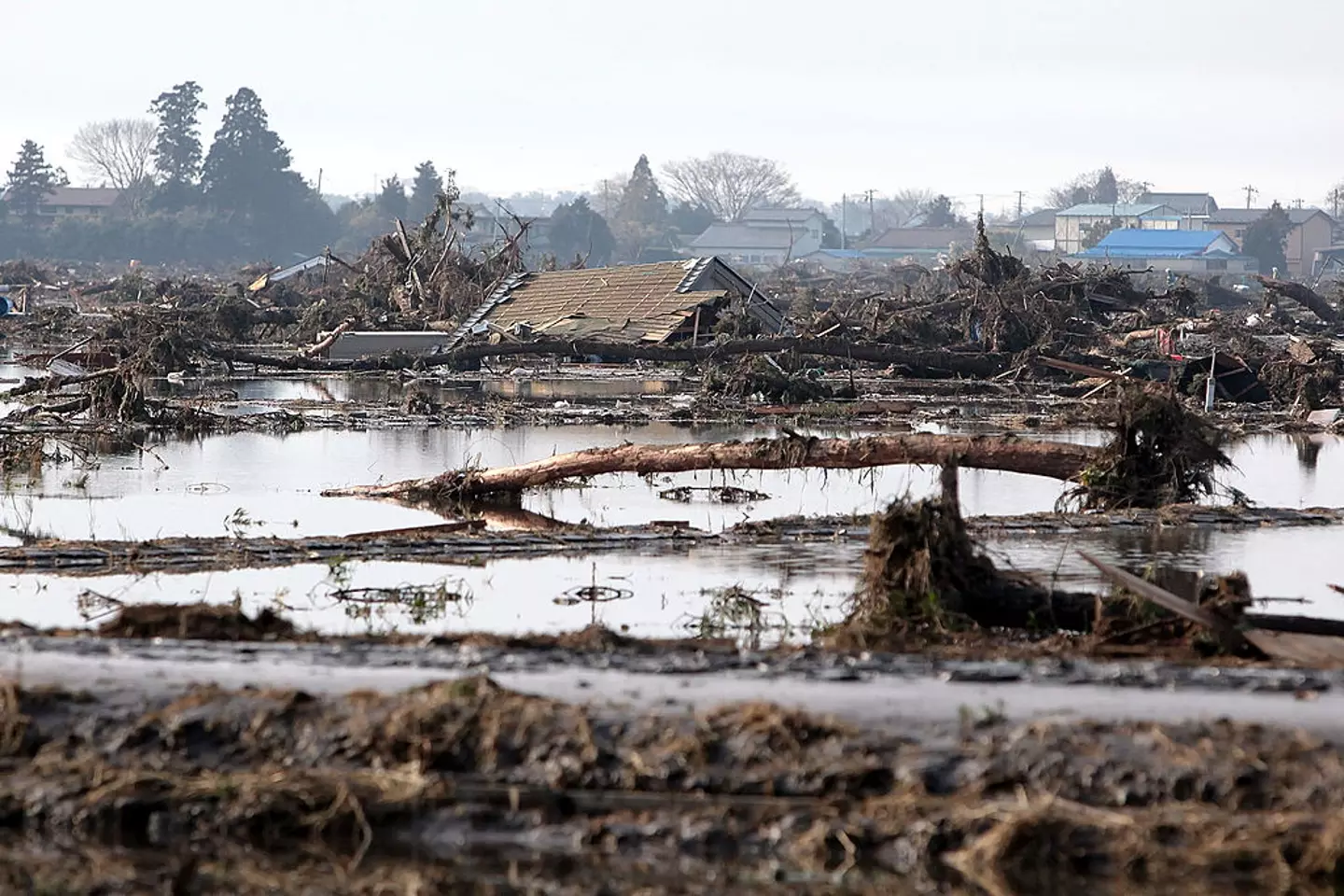 Tourists are canceling trips after 'new Baba Vanga' predicts catastrophic event that will take place in just two months 2 3445 3