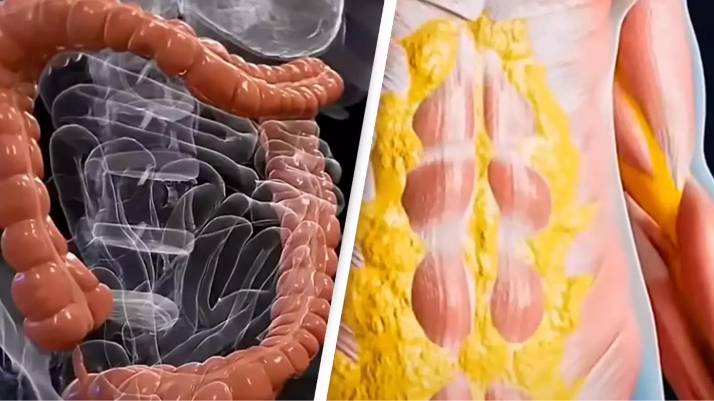 Exactly what happens to your body when you fast for 36 hours as sh0cking simulation reveals extreme impact 1 43678 3