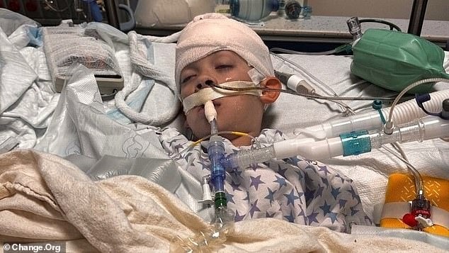 Indiana boy dies just hours after contracting horrific infection at school that spread to his brain 2 He was diagnosed with haemophilus influenzae, also known as H. flu , which had spread to his brain and spinal cord