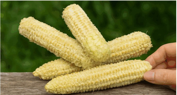 Don't Throw Away Corn Cobs: Discover Their Hidden Health Benefits and Two Amazing Recipes 5 Screenshot 2
