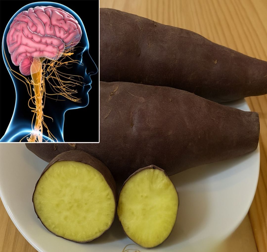 The Truth About Sweet Potatoes: 8 Essential Warnings You Need to Know Before Eating Them 2 The Truth About Sweet Potatoes e1748058457476