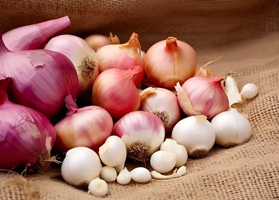 Unlock the Magic of Properly Storing Onion, Garlic, and Ginger 2 cach bao quan hanh toi kho 6 1 5