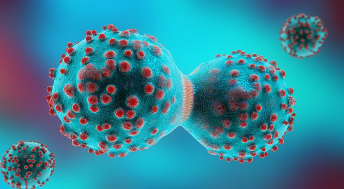 cancer cell dividing