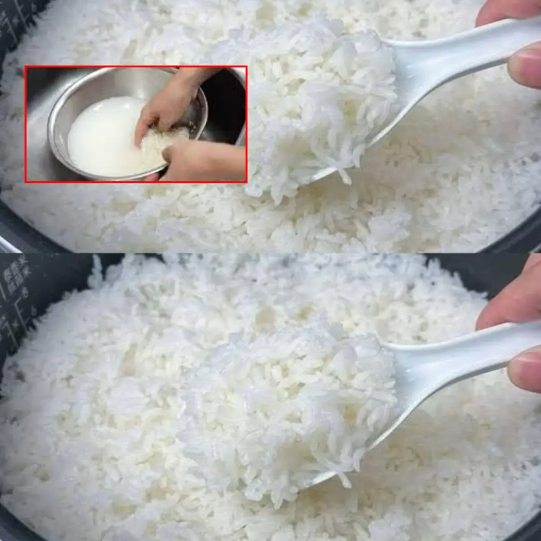 Adding only water when cooking rice is a big mistake. I will share with you the secret that hotels use 4 download 1