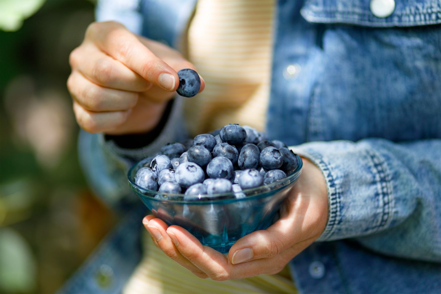 Here's What Eating Blueberries Every Day Does to Your Body 3 download 11 4