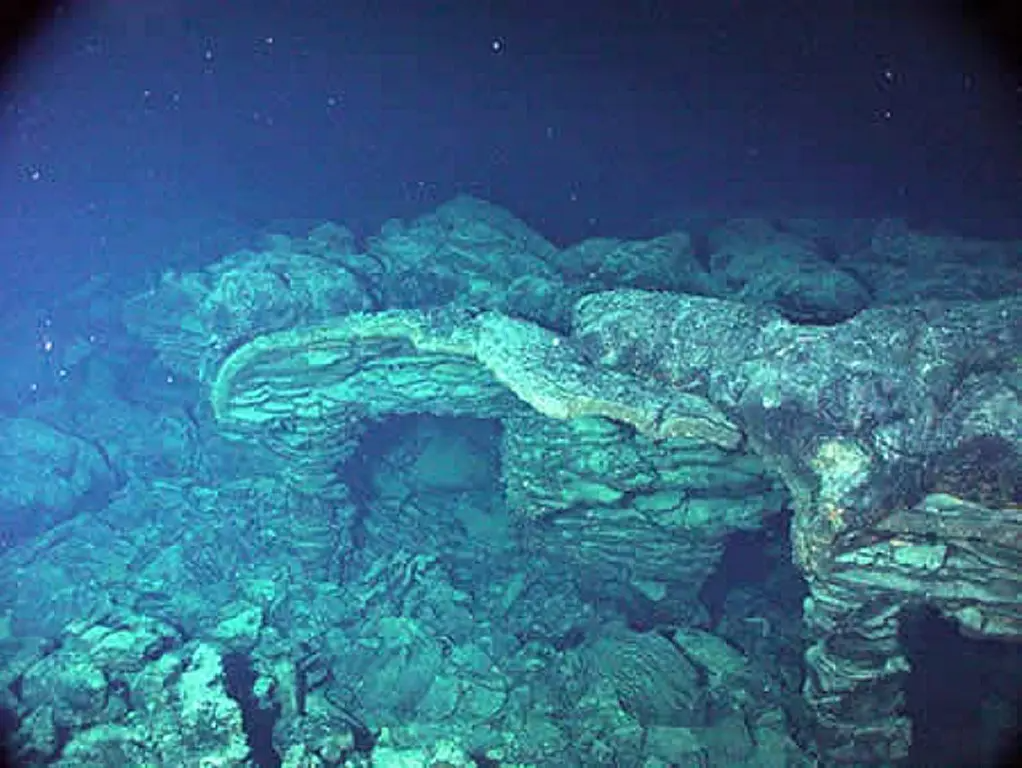 An underwater volcano off the coast of Oregon may be about to erupt for the first time in nearly a decade 4 download 14 1