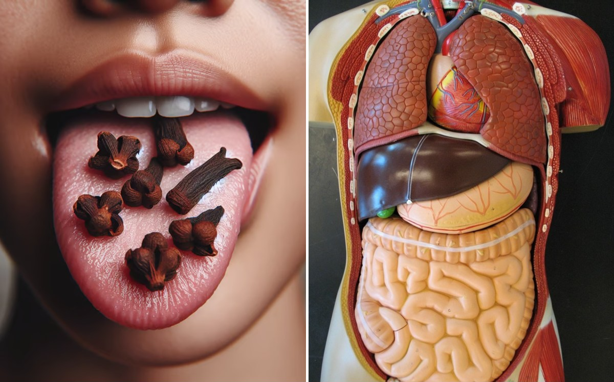 Chewing Cloves Daily: A Tiny Habit with Massive Health Benefits 1 download 14 3 e1748061199490