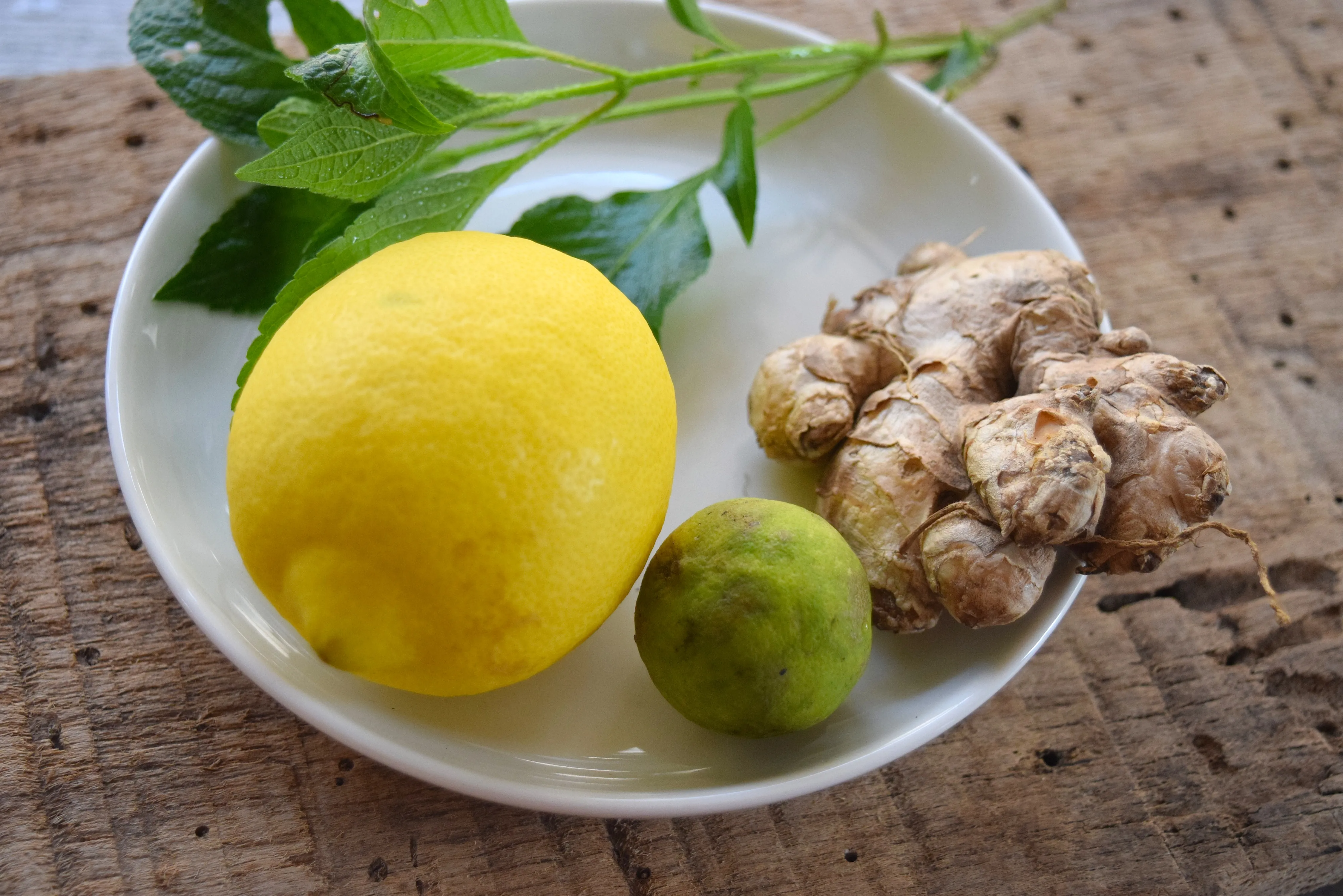 The combination of pawpaw leaves, scent leaf, lime, ginger, clove, garlic, and aiden fruit 3 download 23 2