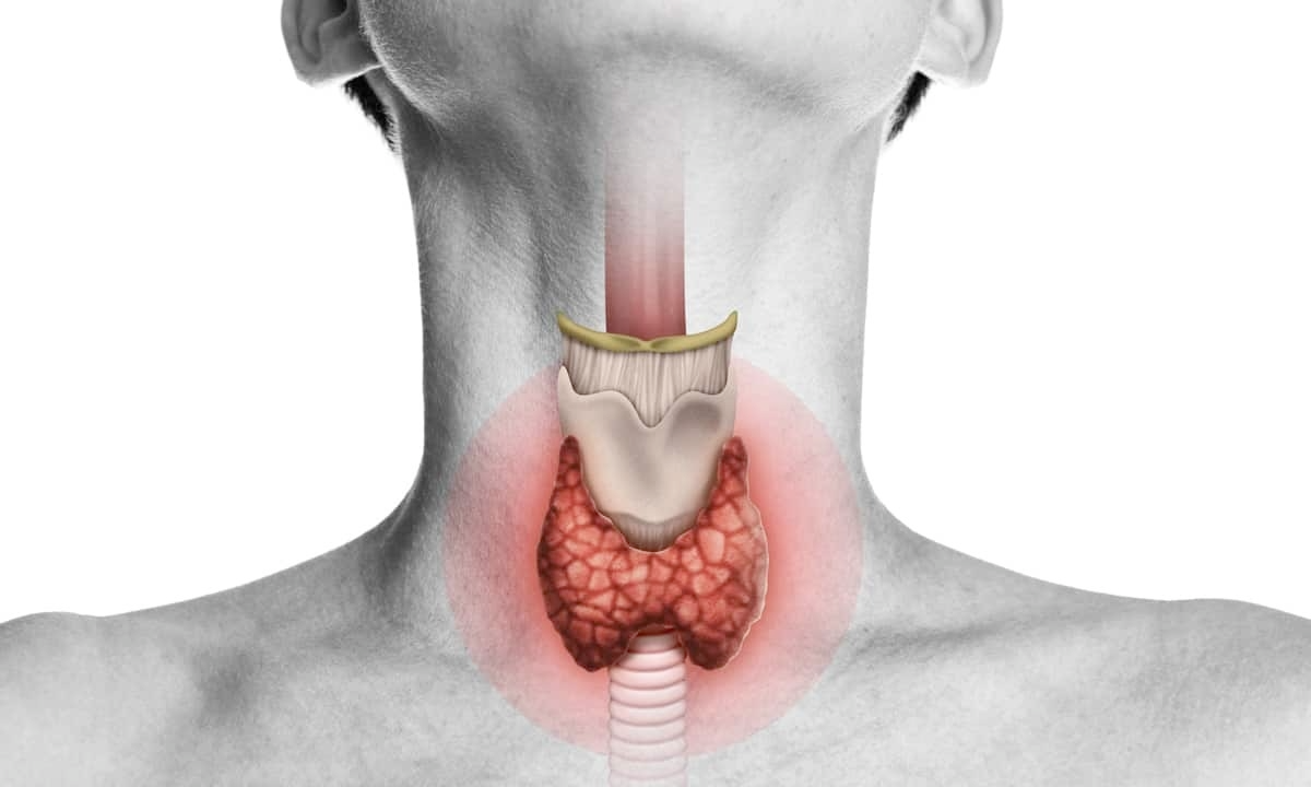 10 Hidden Signals Your Thyroid Is Not Functioning Properly 1 download 27 1
