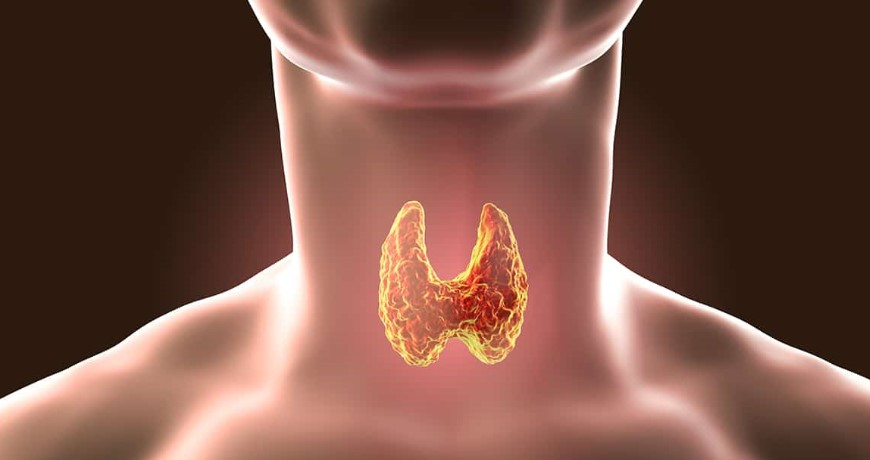 10 Hidden Signals Your Thyroid Is Not Functioning Properly 8 download 29 2