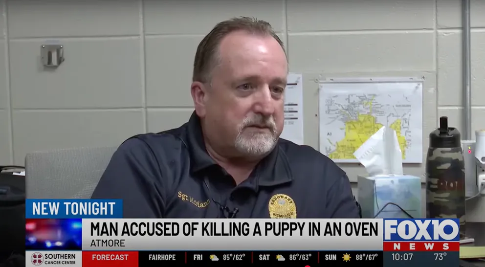 44-Year-Old Alabama Man Arrested After Chihuahua's De@th – Police Call His Actions 'Inhumane' 2 download 3 13