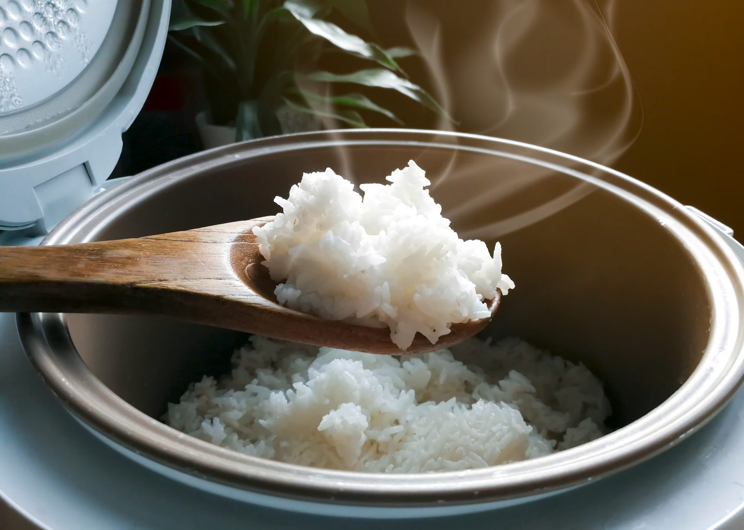 Adding only water when cooking rice is a big mistake. I will share with you the secret that hotels use 2 download 3 4 scaled