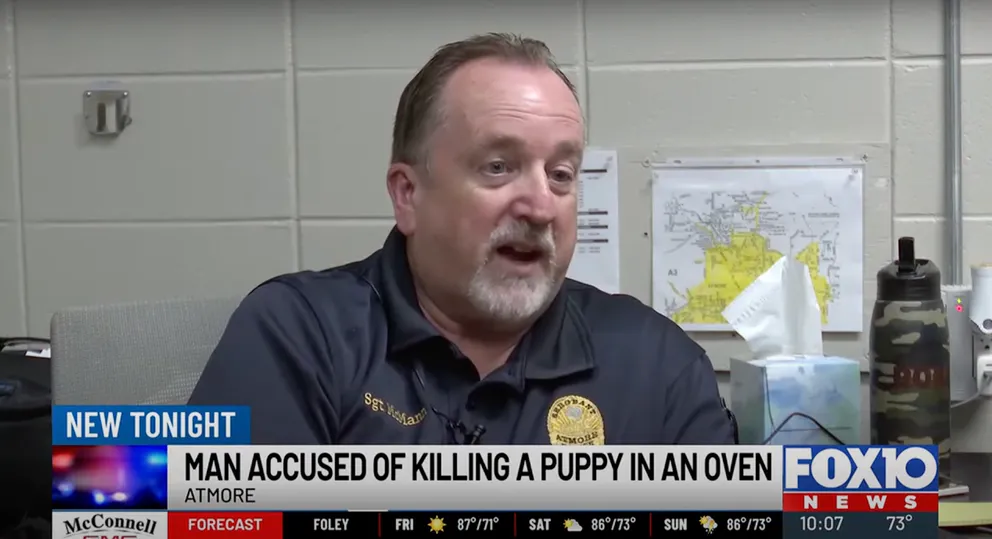 44-Year-Old Alabama Man Arrested After Chihuahua's De@th – Police Call His Actions 'Inhumane' 3 download 4 10