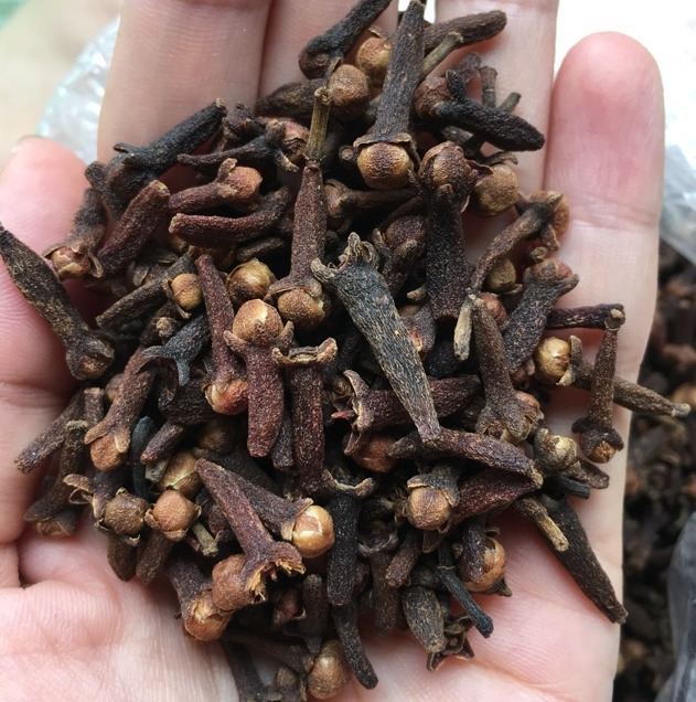Mango Leaf and Clove Tea: A Gentle Herbal Support for Daily Wellness 2 image 52