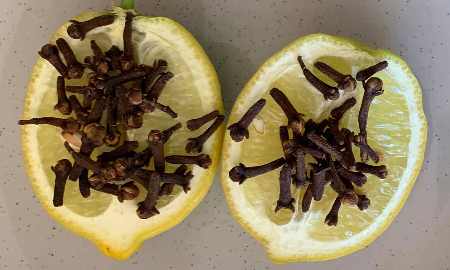 lemon hack flies