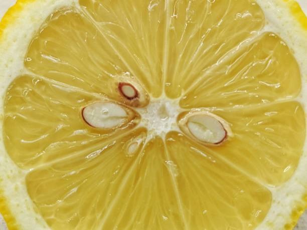 lemon