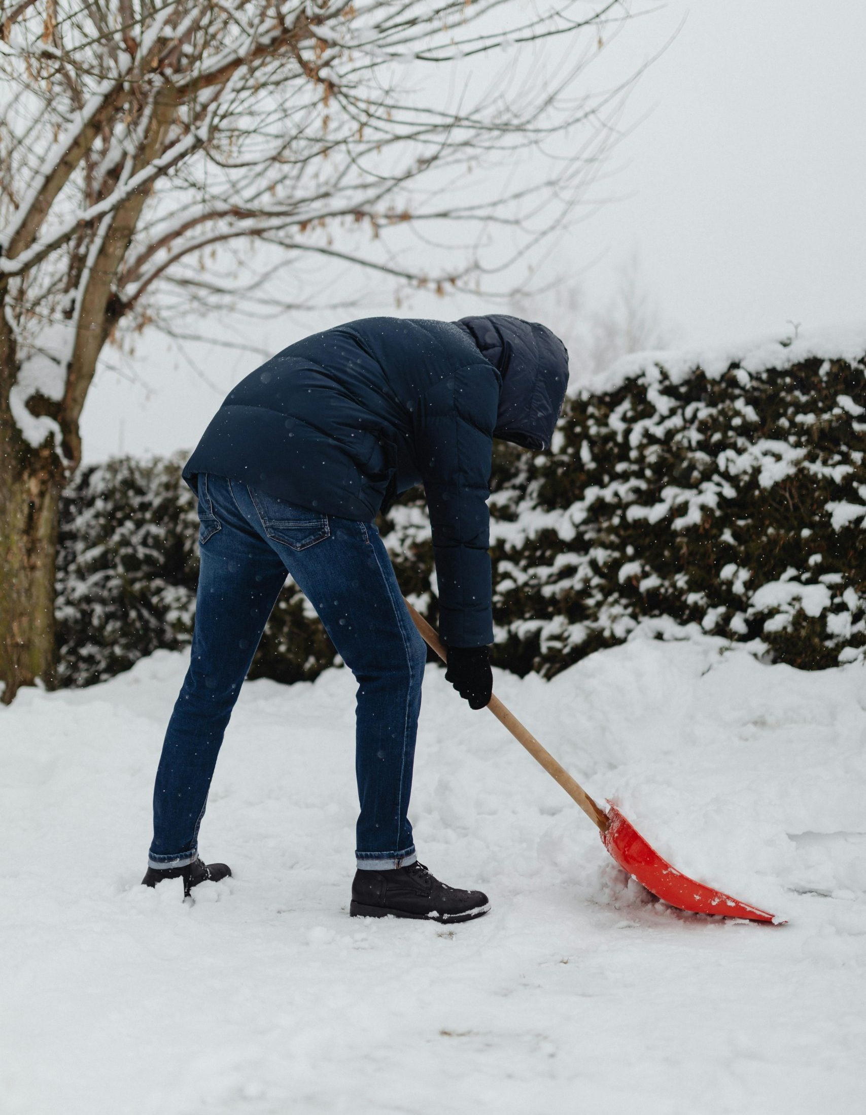 Boy Shovels Snow for Elderly Neighbor – What She Left at His Door Melted His Whole Family’s Hearts 4 pexels karolina grabowska 6952505 scaled e1748459352434