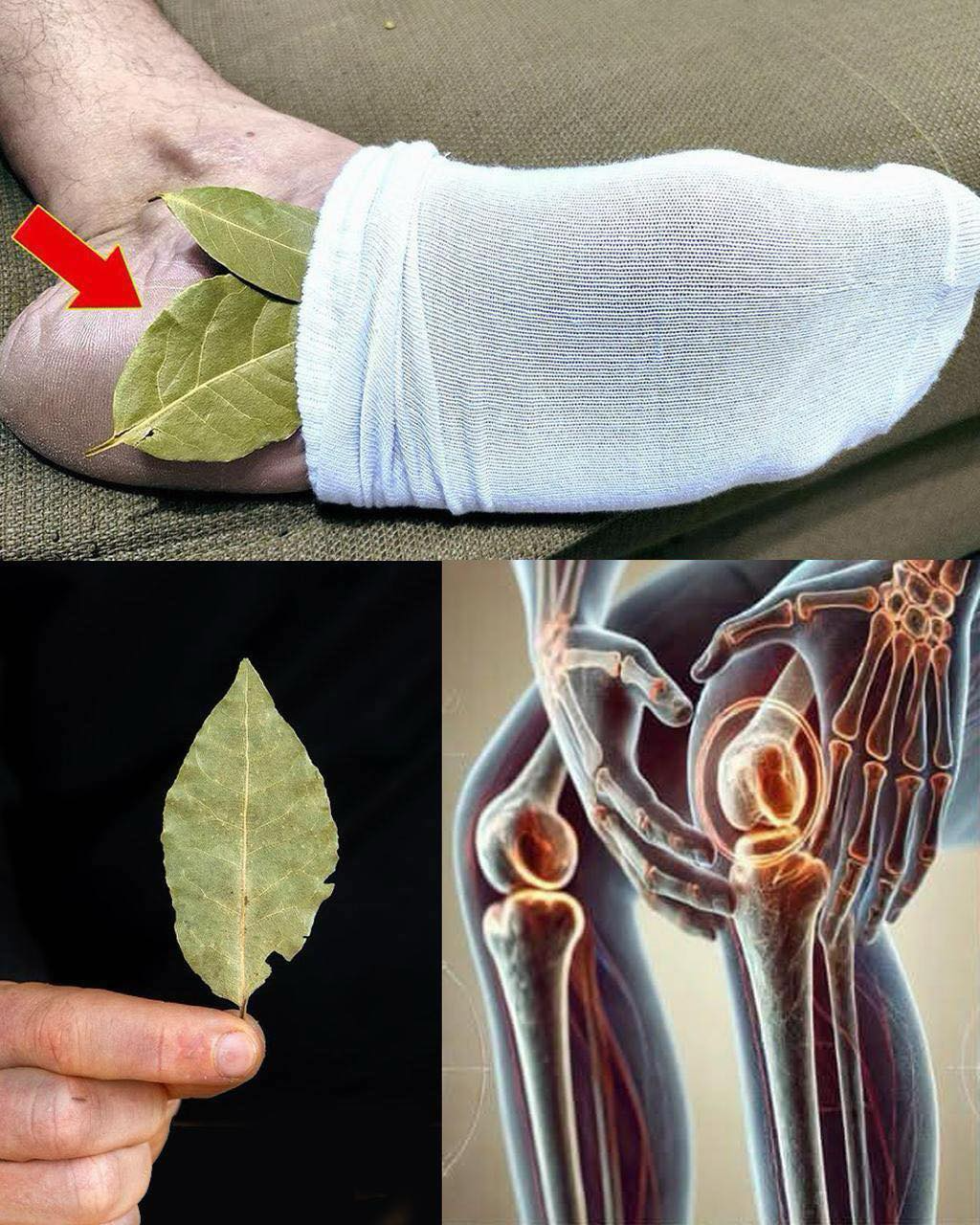 Discover the Surprising Benefits of Putting a Bay Leaf in Your Socks 2 re