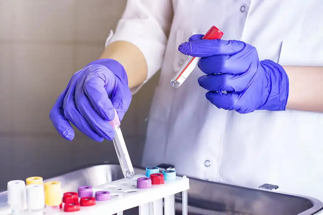 Which human blood type is linked to the longest lifespan 5 tai xuong 5