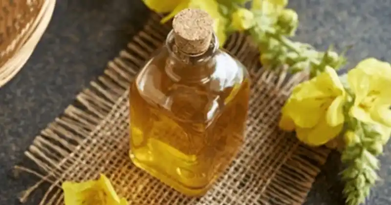 Mullein Flowers: Simple Secrets for Natural Healing and Wellness 5 tye 1 1