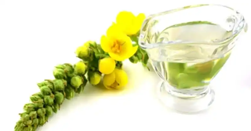 Mullein Flowers: Simple Secrets for Natural Healing and Wellness 3 tye 6