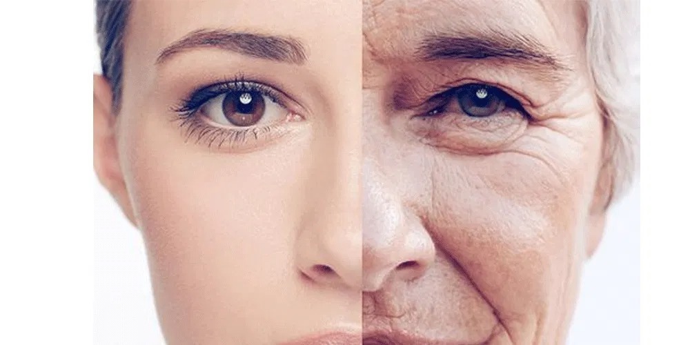 AgingSkin2
